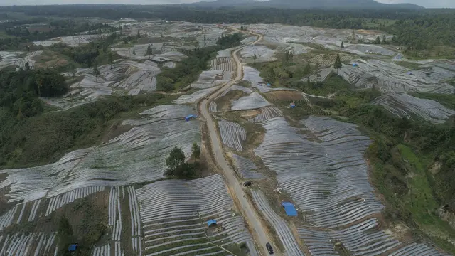 Food Estate Humbahas
