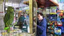 Sebuah pasar yang menawarkan sejumlah binatang langka di Trujillo, Lima, Peru (12/7). Menurut pihak berwenang, lebih dari 20 persen dari 68.000 spesimen disita dalam 15 tahun terakhir. (AFP PHOTO)