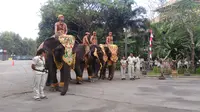 Tingkah Lucu Para Gajah Ikuti Upacara HUT ke-72 RI. (Foto: Dewi Divianta/Liputan6.com)