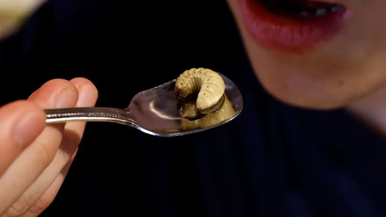 Viral Di Jepang Makanan Serba Serangga