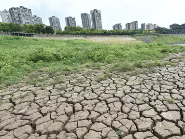 Dasar sungai yang kering terlihat setelah permukaan air turun di Sungai Yangtze, Yunyang, Kotamadya Chongqing, China, 16 Agustus 2022. Suhu tinggi yang tidak biasa dan kekeringan berkepanjangan mempengaruhi sebagian besar wilayah China, mengurangi hasil panen dan persediaan air minum. (Chinatopix Via AP)