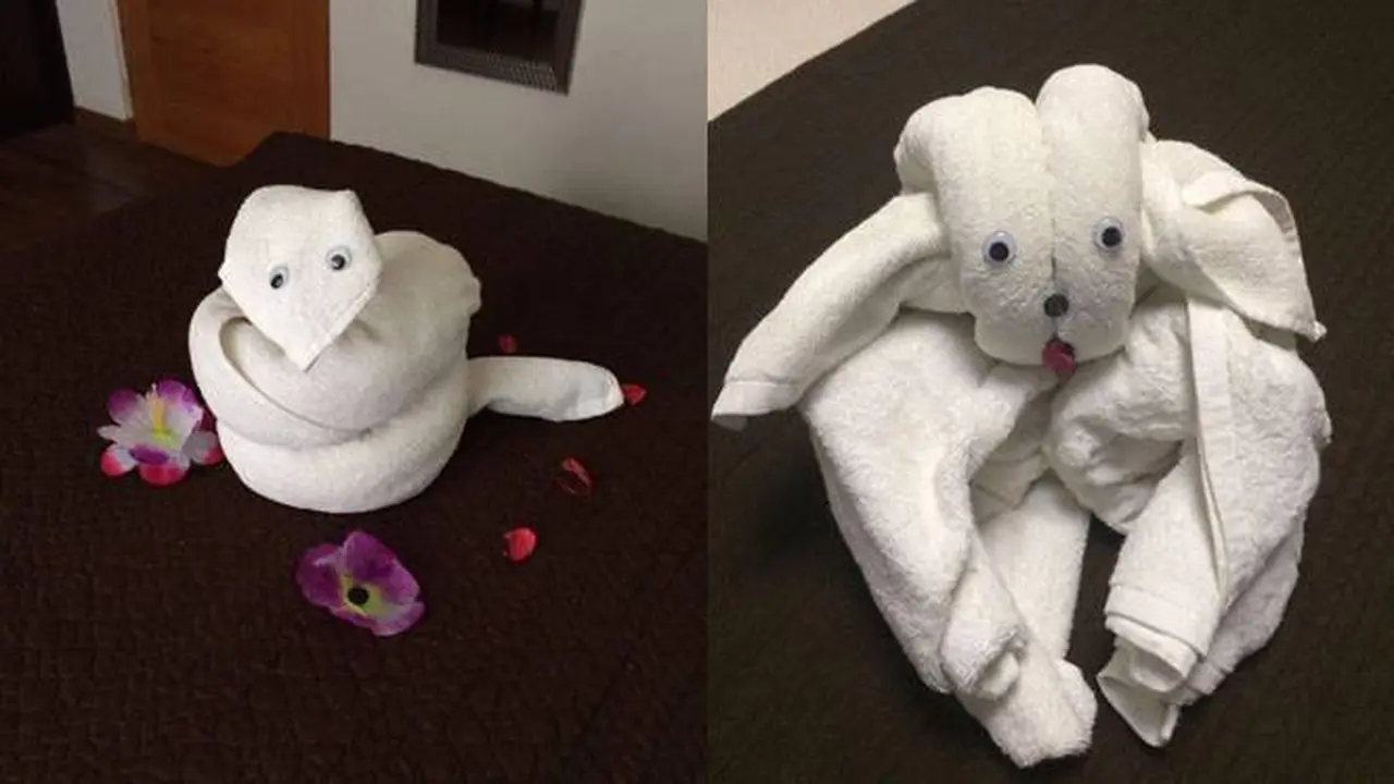9 Potret Kocak Handuk di Kamar Hotel dengan Bentuk Binatang Ini Lucu Banget
