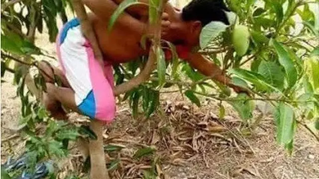 Kelakuan Orang Saat di Atas Pohon ini Bikin Tepuk Jidat