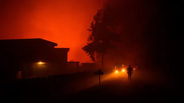 Kebakaran Hutan Melanda Prancis Barat