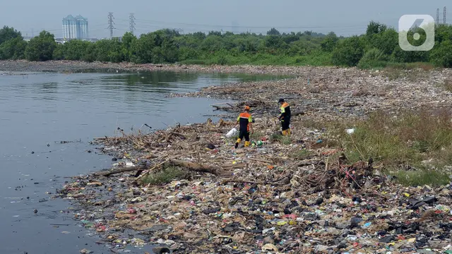 Sampah Hutan Mangrove Muara Angke