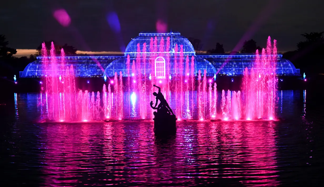 Pertunjukan cahaya diproyeksikan di depan Palm House saat sesi pemotretan di Kew Gardens, London, Selasa (19/11/2019). Kew Gardens menghiasi kebun dan semua pohonnya dengan tata lampu yang menarik menjelang Hari Natal. (Daniel LEAL-OLIVAS / AFP)