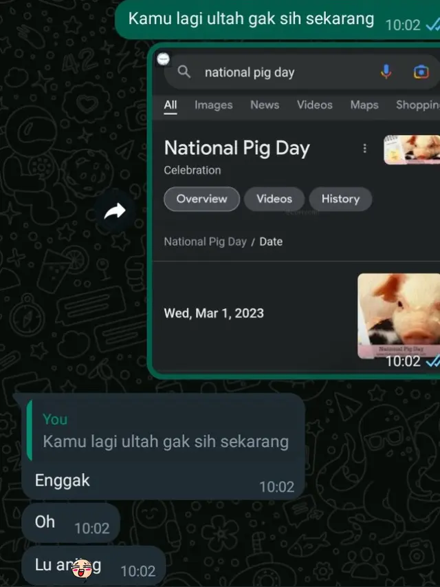 6 Chat National Pig Day ke Teman Ini Kocak, Ujungnya Bikin Emosi
