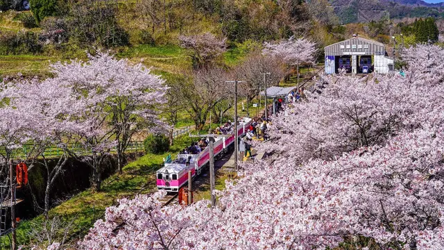 Kyushu, Permata Tersembunyi Jepang: Rute 7 Hari Penuh Cerita dan Keajaiban Alam