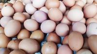 Sejumlah peternak ayam petelur di Kota Tasikmalaya, Jawa Barat, meminta pemerintah segera turun tangan memberikan solusi, di tengah anjloknya harga telur saat ini. (Liputan6.com/Jayadi Supriadin)