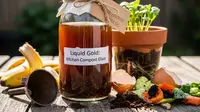 8 Cara Membuat Pupuk Organik Cair dari Sampah Dapur: Solusi Ramah Lingkungan untuk Kebun Subur