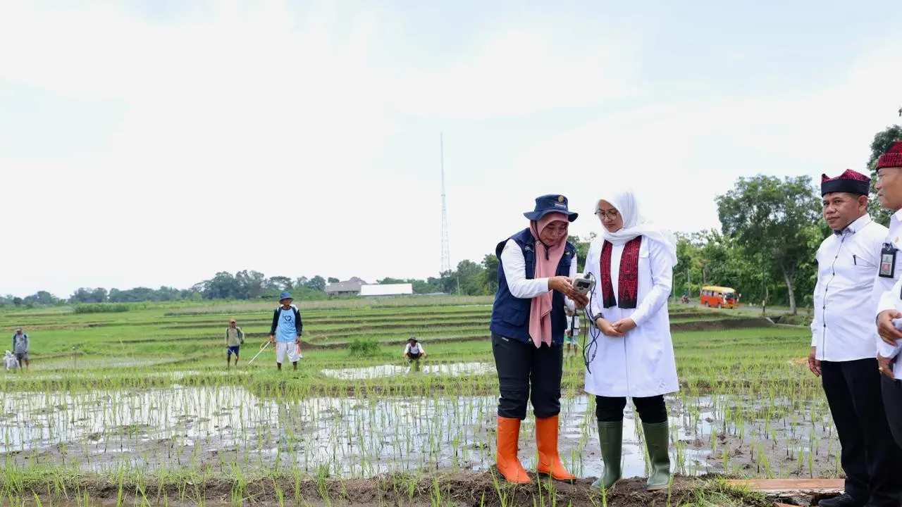 Bupati Banyuwangi Ipuk Fiestiandani (baju putih) mencoba  alat ukur tanah berbasis internet of things (IoT)  di area persawahan di Banyuwangi (Istimewa)