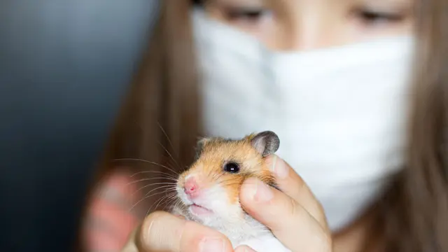 Bolehkah Anak Alergi Bulu Miliki Hewan Peliharaan?