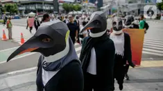 Sejumlah aktivis Greenpeace mengenakan topeng penguin saat menggelar aksi dalam car free day di kawasan Thamrin, Jakarta, Minggu (9/2/2020). Mereka mengajak pemerintah untuk berpartisipasi dalam mewujudkan Perjanjian Laut Internasional (Global Ocean Treaty). (Liputan6.com/Faizal Fanani)