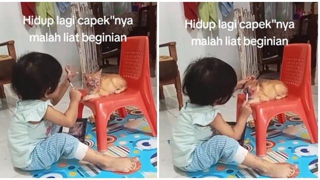 Momen Kucing Didandani Anak Kecil Ini Bikin Gemas, Pasrah Banget