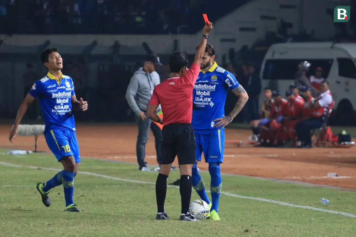 Bojan Malisic, Persib Bandung