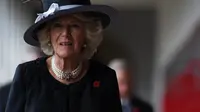 Camilla Parker Bowles. (dok.AFP PHOTO / POOL / MICK TSIKAS
MICK TSIKAS / POOL / AFP)