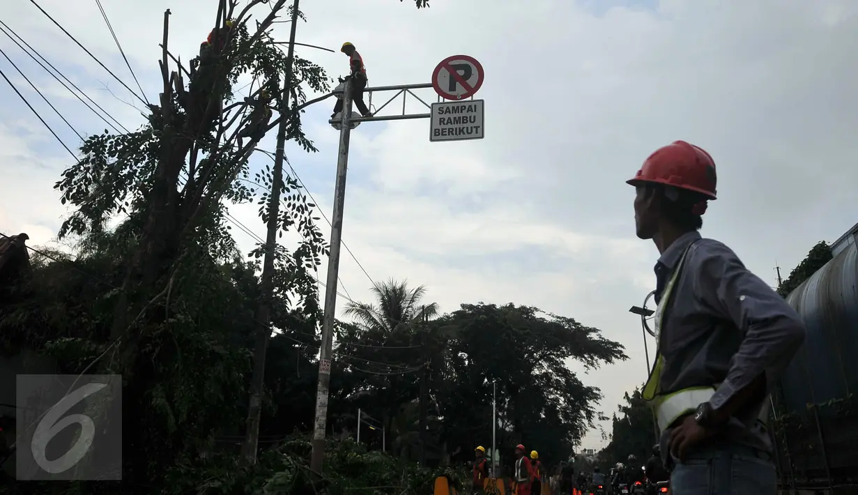 Seorang petugas memperhatikan rekannya yang sedang menebang pohon di sepanjang jalan DI. Panjaitan, Kebon Nanas, Jakarta, Senin (21/3). Penebangan pohon-pohon itu untuk pelebaran jalan terkait pembangunan Jalan Tol Becakayu. (Liputan6.com/Gempur M Surya)