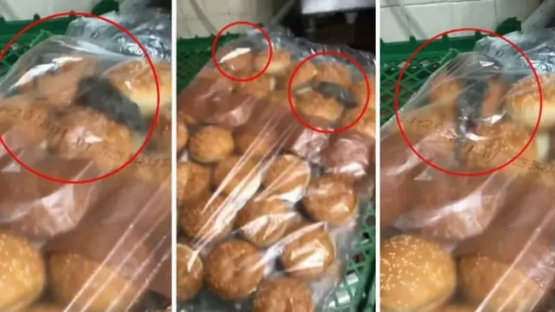 Jijik, ada tikus di plastik roti burger ini (elitereaders)