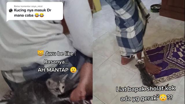 Ulah kucing masuk sajadah
