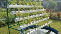 9 Desain Kebun Sayur Vertikultur Tanpa Tanah untuk Lahan Sempit