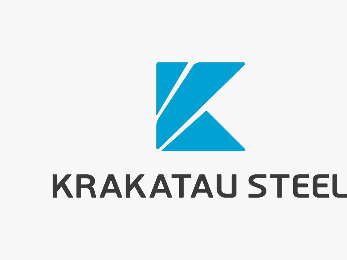 Mantan Komisaris Krakatau Steel Ajak Erick Thohir Taruhan Rp ...
