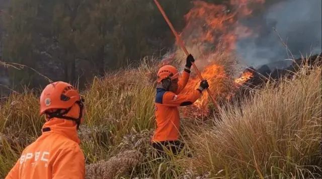 BNPB Evaluasi Penanganan Karhutla Usai Enam Petugas Gugur