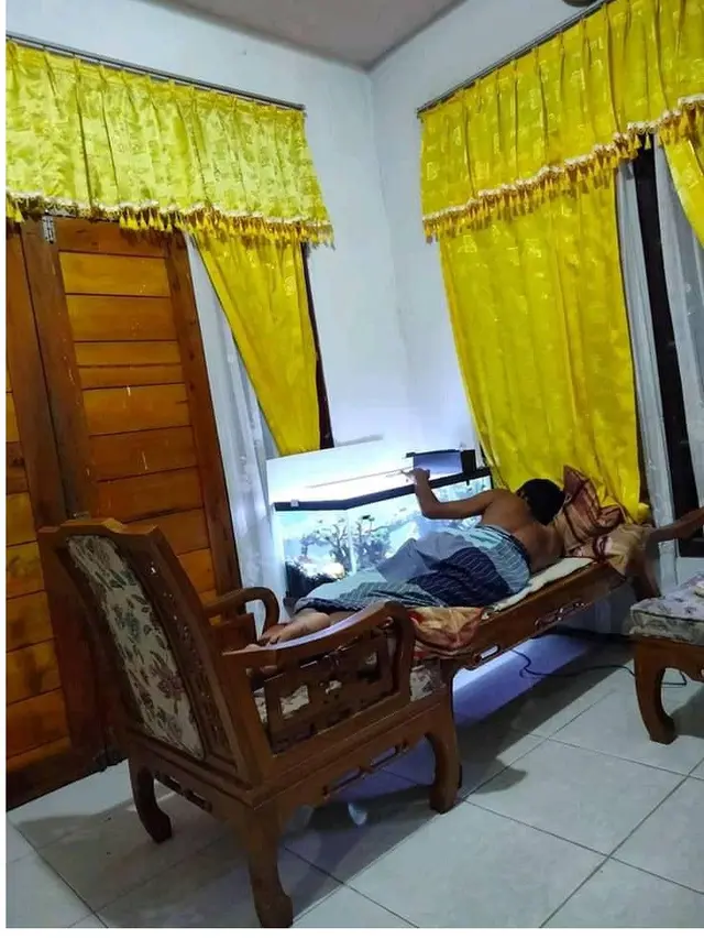 6 Potret Netizen saat Pelihara Ikan Ini Bikin Geleng Kepala