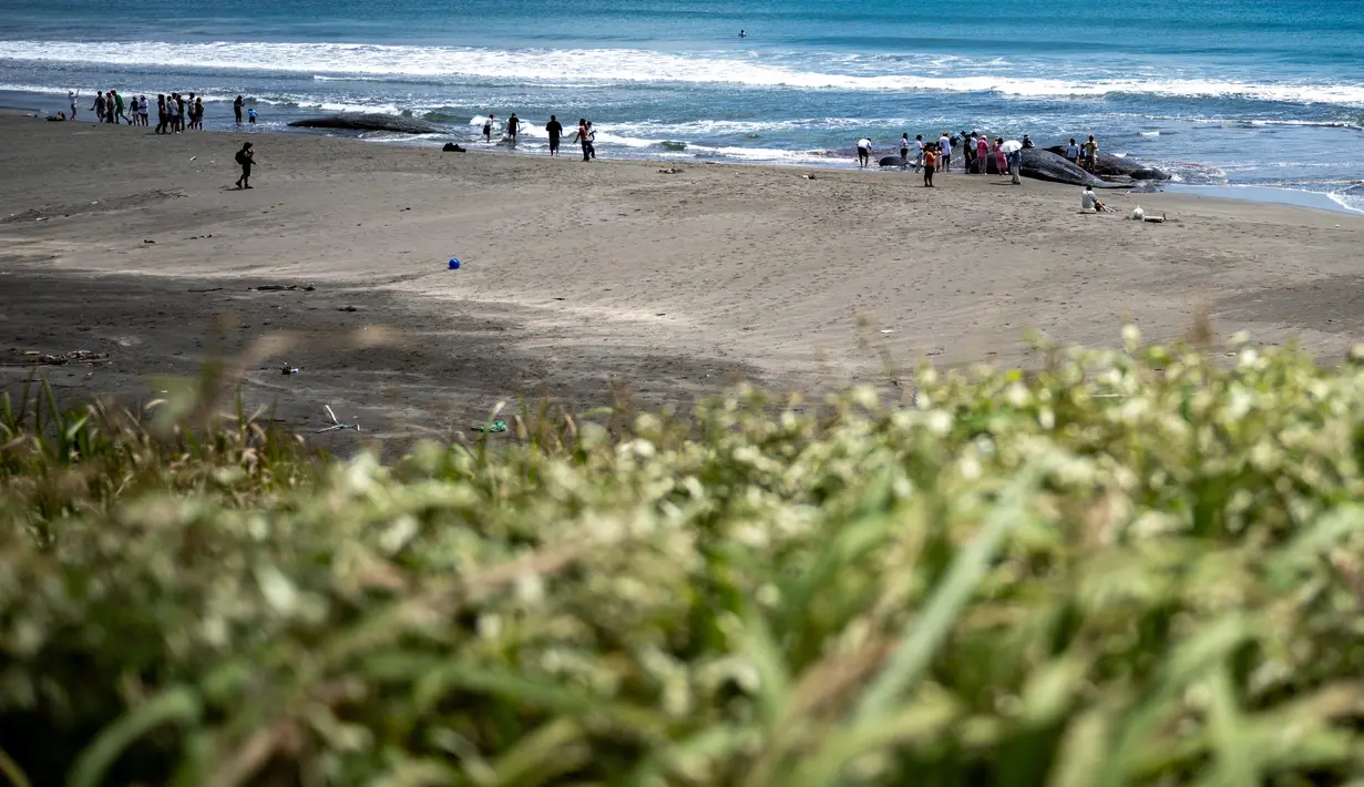 Sebelumnya, gelombang tsunami di wilayah tersebut dipicu oleh gempa bumi dahsyat berkekuatan magnitudo 8,7 yang mengguncang lepas pantai timur Rusia. (Philip FONG/AFP)
