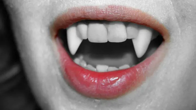 Foto: copyright adifferentkindofwork.com