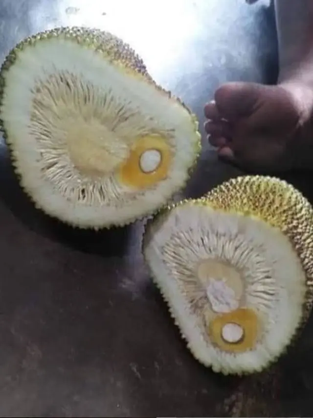 6 Momen Apes Beli Buah, Dari Terjatuh di Jalan Hingga Tak Berisi