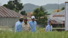 Prabowo: Indonesia Siap Buka Ekspor Bahan Pangan, Asal Petani Tak Rugi