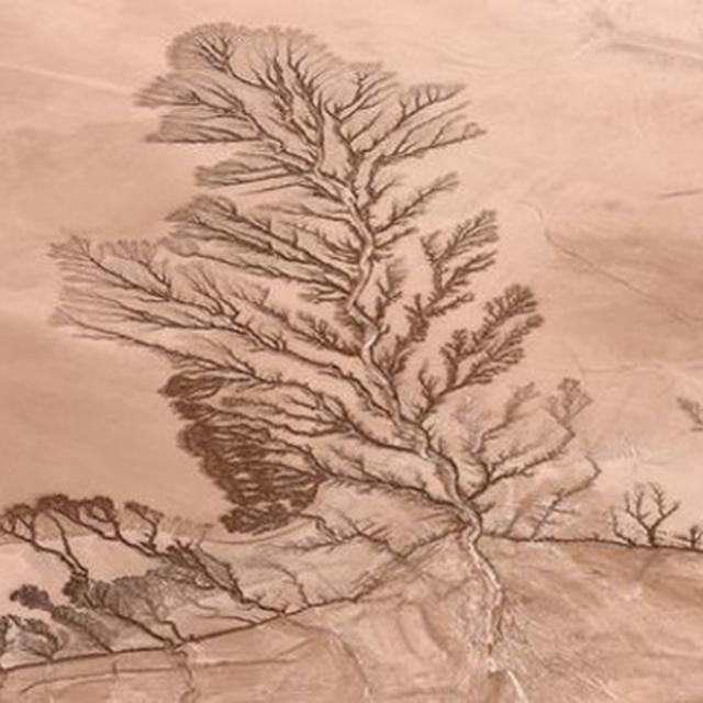 Fenomena Alam Mirip Lukisan Pohon Global Liputan6 Com