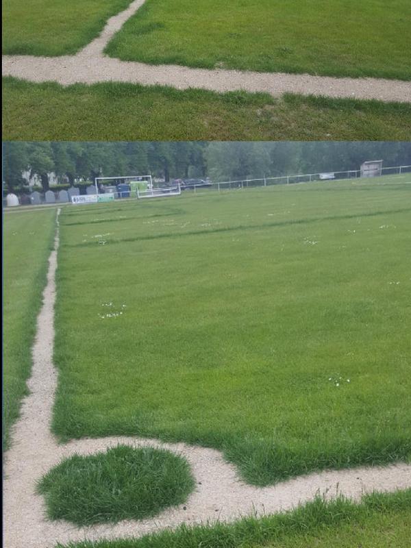 foto: Reddit/@Nandubird