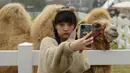 Seorang gadis berswafoto di "Go Farm" di Desa Gucheng, Kota Huzhou, Provinsi Zhejiang, China pada 17 November 2020. "Go Farm", destinasi liburan di desa kuno Gucheng ini telah menarik banyak wisatawan sejak operasional uji cobanya pada Mei tahun ini. (Xinhua/Weng Xinyang)