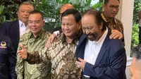 Ketua Umum (Ketum) Partai NasDem Surya Paloh saat menyambangi Presiden Terpilih, Prabowo Subianto. (Liputan6.com/Delvira Hutabarat)