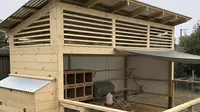 7 Model Kandang Ayam Umbaran Modern yang Tidak Bau dan Estetik dengan Material Sederhana