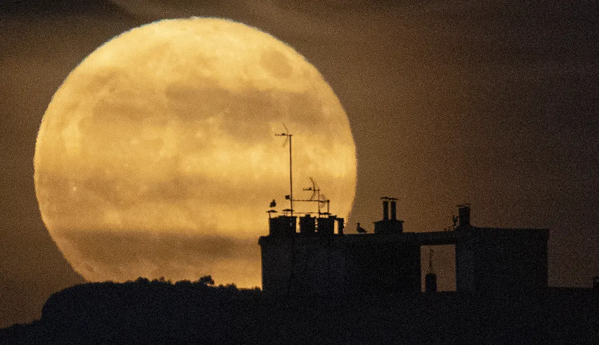 Bulan purnama terbit di atas Marseille, Prancis, 14 Juni 2022. Fenomena ini disebut juga sebagai Strawberry Supermoon karena terjadi pada saat panen strawberry. (AP Photo/Daniel Cole)