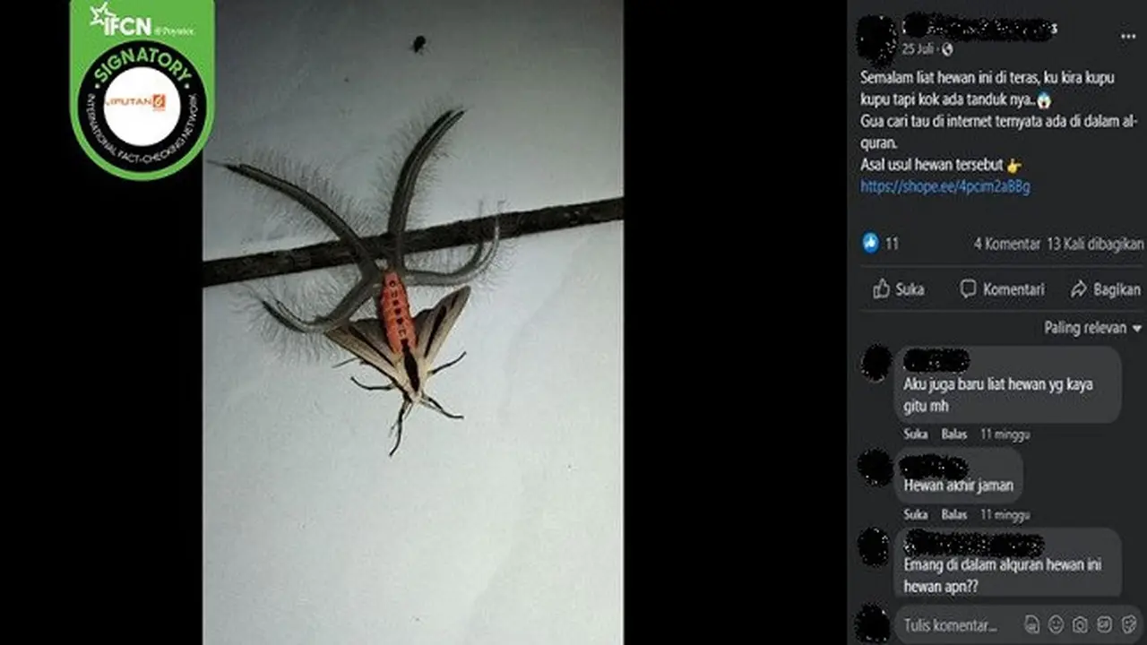 Gambar Tangkapan Layar Foto yang Diklaim Kupu-Kupu Bertanduk (sumber: Facebook).
