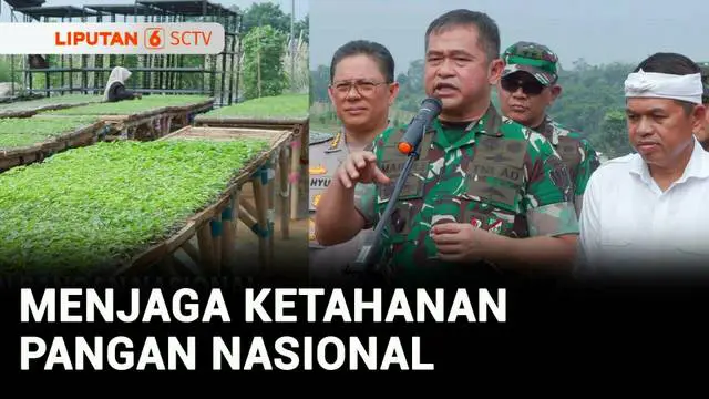 VIDEO: Didampingi KDM, KSAD Maruli Tinjau Kawasan Pertanian Terpadu 950 Hektare di Purwakarta