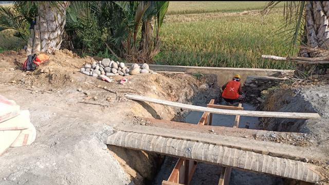 Genjot Produksi Pertanian, Kementan Optimasi Lahan Rawa 500 Hektar di Aceh Utara