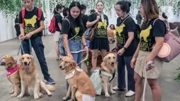 Petfest hadir kembali di Indonesia Convention Exhibition Bumi Serpong Damai (ICE BSD), Tangerang, Banten. (Liputan6.com/Herman Zakharia)