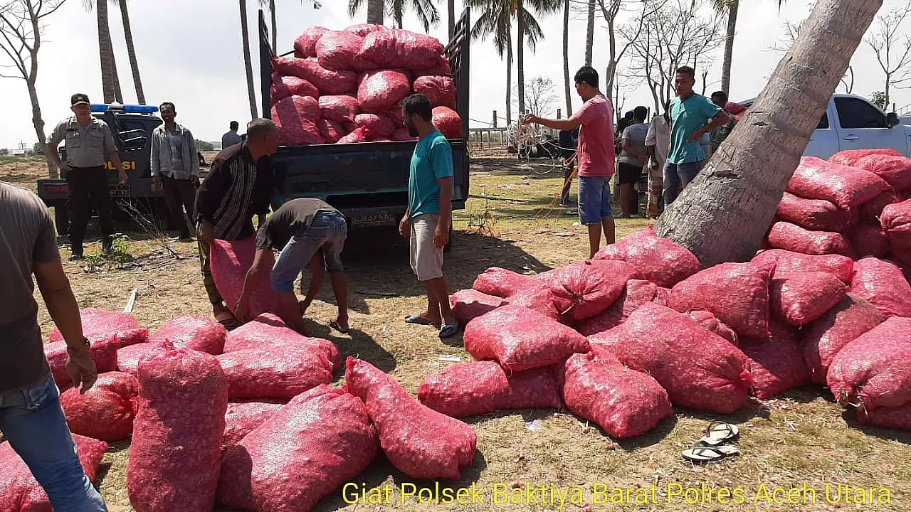 Bawang merah selundupan yang diamankan (Liputan6.com/Rino Abonita)