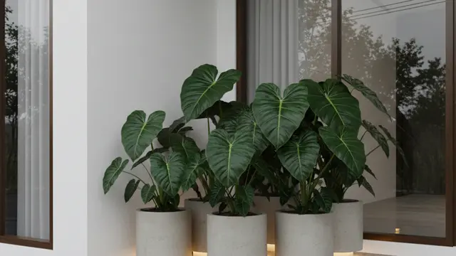 Ide Menata Teras Sempit agar Sejuk dengan Tanaman Pot Daun Lebar. AI