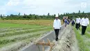 Presiden Joko Widodo saat meninjua irigasi di Desa Waimital, Kecamatan Kairatu, Kabupaten Seram Bagian Barat (14/2). Pemerintah telah menggulirkan program padat karya tunai. (Liputan6.com/Pool/Biro Pers Setpres)