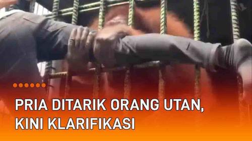 VIDEO: Viral Pria Ditarik Orang Utan Sampai Terangkat, Kini Beri Klarifikasi