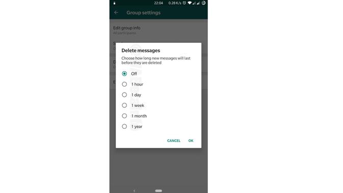 Fitur Delete Messages pada WhatsApp (Foto: The Sun)