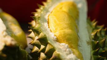 Orang dengan Diabetes dan Kolesterol Tinggi, Bolehkah Makan Durian?
