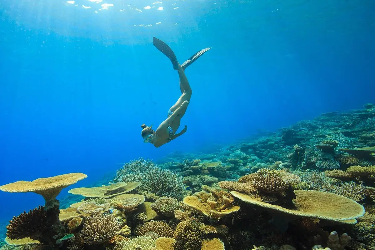 [Bintang] Raja Ampat