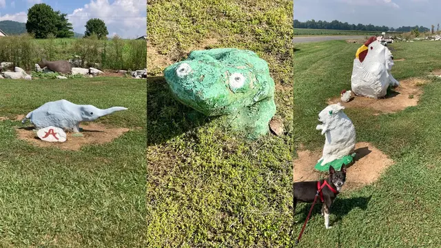 Kebun Binatang Unik