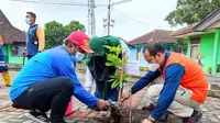 Kolaborasi Relawan, BPBD, dan DPRD Jatim Hijaukan Kota Malang 